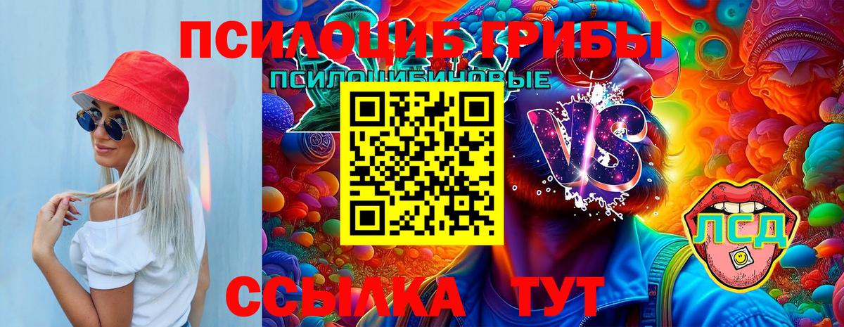 Галлюциногенные грибы мицелий Тайшет